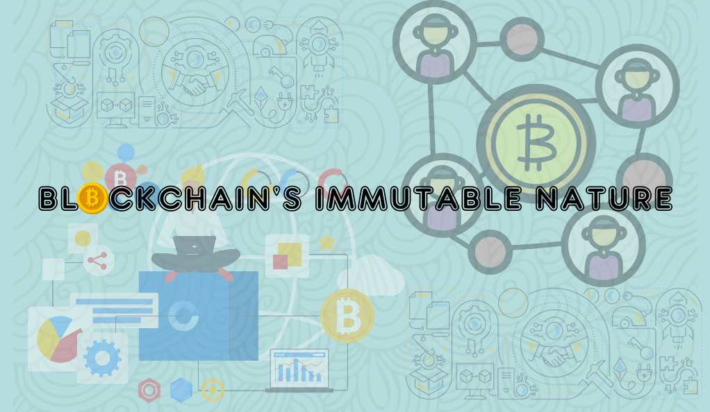 Blockchain's Immutable Nature